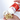 Fertility Supplements: The Evidence-Based Guide to Which Nutrients Actually Work - Conceive Plus® Australia
