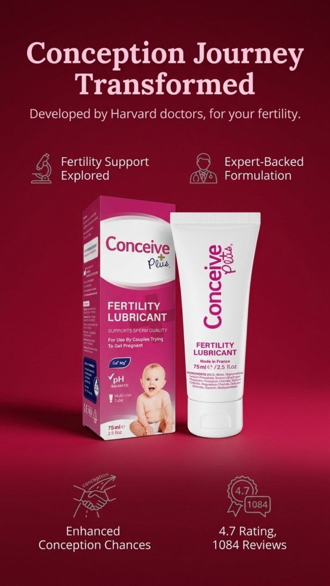 Timing Intercourse for Conception: Your Science-Backed Guide to Getting the Timing Right - Conceive Plus® Australia